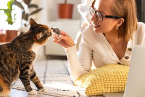 Un chat et son maitre