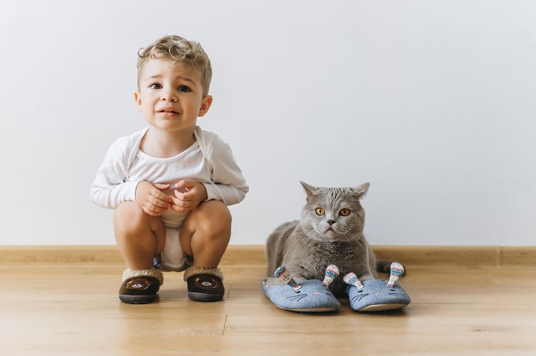 Comment reconnaitre le sexe de son chat