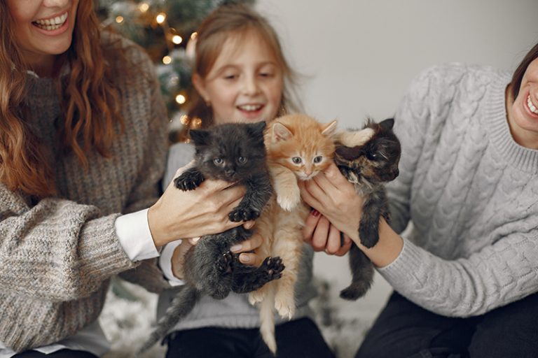 Un chat avec une famille