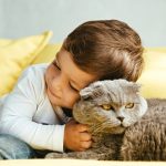 Un enfant avec son chat sur un canapé