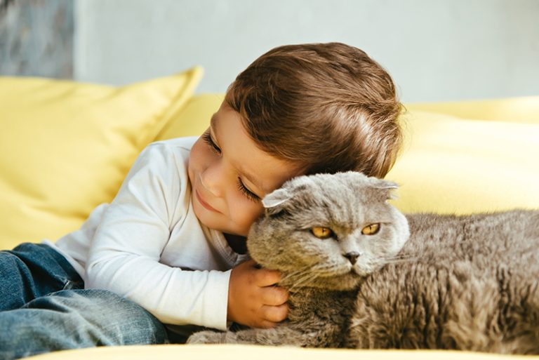 Un enfant avec son chat sur un canapé