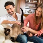 chat fidèle avec ses maitres