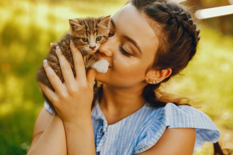 beautiful-girl-with-cats.jpg